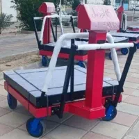 پخش و فروش باسکول و ترازو دیجیتال در کرمان.