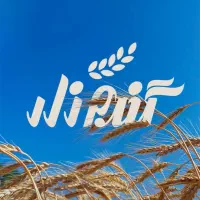 استخدام کارشناس فروش سازمانی(مواد غذایی) در کرمان