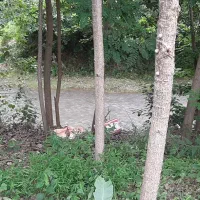 زمین طرح هادی لادمخ