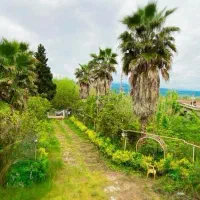 2800 متر زمین ۷ خوابه|فروش خانه و ویلا|عباسآباد, |دیوار