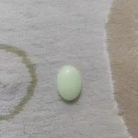 یک عدد نگین شب نما اصل.|جواهرات|رودهن, |دیوار