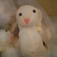 فقط بپرسید تا آگاه شوید . ( عروسک داریم )|اسباببازی|لاهیجان, طالقانی|دیوار