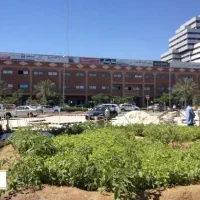 خدماتی-شارستان-کیش