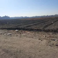 زمین-50-متر-دانگی-در-سجادیه