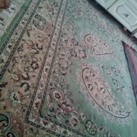 12متری|فرش|بیرجند, |دیوار