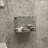 کبوتر و قفس|حیوانات|مشهد, فرخد|دیوار