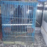 قفس آهنی بزرگ مناسب برای انواع پرنده