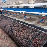 کارگر جهت کار در قالیشویی