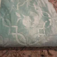 پتومسافرتی