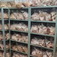 شنیسل مرغ فیله ران کتف بال شینسل ماهیچه ساق