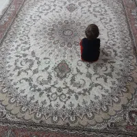 فرش ۱۲ متری  طرح سلطان