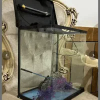 آکواریوم مینیمال|ماهی|اهواز, نادری|دیوار