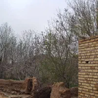 فروش ملک ششدانگ|فروش زمین و ملک کلنگی|دشتابی, |دیوار