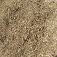 ‌کاه لوبیا چیتی