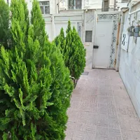 تک واحدی طبقه همکف  پارکینگ سالم  بازسازی شده|فروش آپارتمان|تهران, هفت حوض|دیوار
