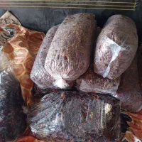 ضایعات خرما
