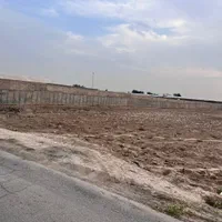 زمین|فروش زمین و ملک کلنگی|قرچک, صالح آباد|دیوار