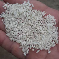 برنج حسنی|خوردنی و آشامیدنی|صومعهسرا, |دیوار