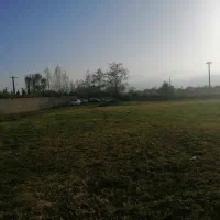 فروش فوری زمین 1000 متری گوراب زرمیخ ندامان