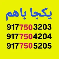 دائم همراه اول
