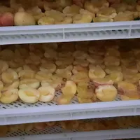 خشک کن ۳۵۰کیلو|ماشین‌آلات صنعتی|مشهد, نظام دوست|دیوار
