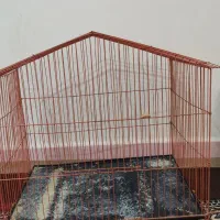 قفس پرنده