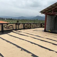 ایزوگام قیرگونی اسفالت