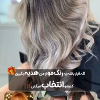 ادمینی پیج های سالن زیبایی رنگ میکاپ|خدمات رایانه‌ای و موبایل|تهران, صادقیه|دیوار