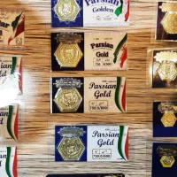 سکه پارسیان