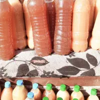 سرکه سیب|خوردنی و آشامیدنی|محلات, |دیوار