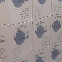 بازاریاب تلفنی خانم