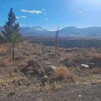 زمین-کوهپایه-بر-خیابان-انارستان