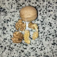 گردوکاغذی ایرانی