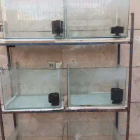 آکواریوم وپایه|ماهی|برخوار, |دیوار