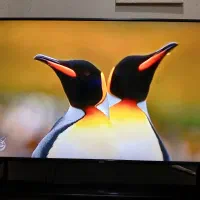 تلوزیون سام ۵۰ اینچ|تلویزیون و پروژکتور|تهران, اتابک|دیوار