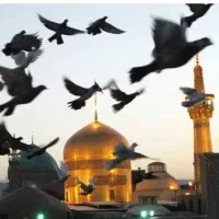 ۳شب کربلا    تور زیارتی هواییـ/هر روز از اصــفهان|تور و چارتر|اصفهان, شهشهان|دیوار