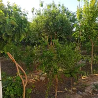 اجاره چهاردیواری|اجارهٔ خانه و ویلا|اصفهان, قهجاورستان|دیوار