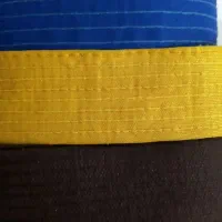 کمربند ورزشی|تجهیزات ورزشی|شوش, |دیوار