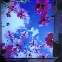 سقف کناف***باریسول|خدمات پیشه و مهارت|قم, صفائیه|دیوار