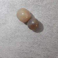 مهره برد و دلربا