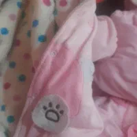 سرویس خواب کودک|کفش و لباس بچه|یاسوج, |دیوار