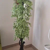 درختچه مصنویی