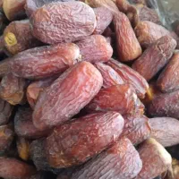 پاجوش نخل|گل و گیاه طبیعی|داراب, |دیوار