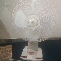 سانی