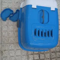 گربه پرشین|گربه|خمینی‌شهر, |دیوار