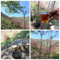 گشت دره ارغوان بهمراه دفنوازی