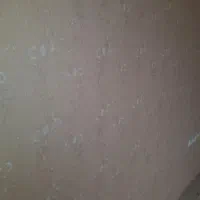 نصاب کاغذدیواری ونقاش ساختمان با 10سال سابقه کار|خدمات پیشه و مهارت|مشهد, هفده شهریور|دیوار