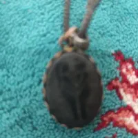 هبهاب