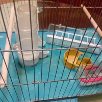فروش قفس پرنده سایز۵۲