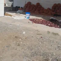 مغازه برای انباری